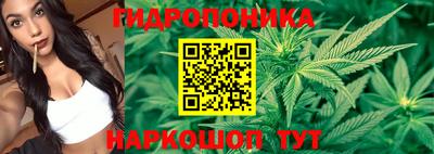 твердый Краснодар