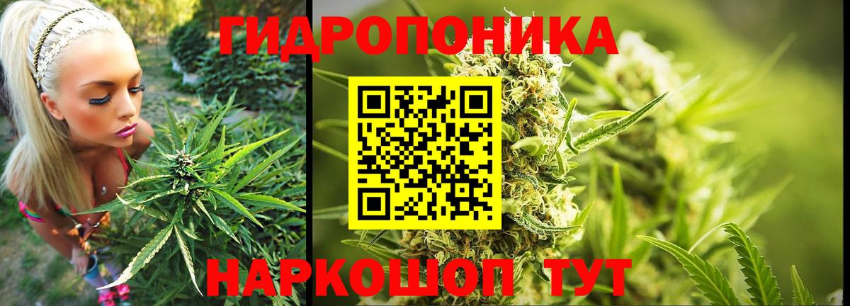 Чусовой  Бошки Шишки Ganja  Марихуана тримм  Каннабис сатива  Вход с VPN 